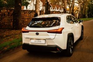 Lexus UX250h 2019 года  (ZA)